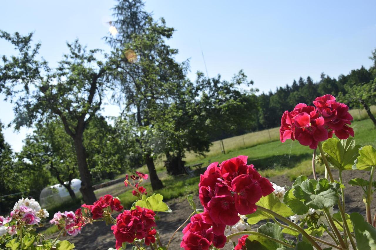 Nowa Kamienica 11 Villa Stara Kamienica Eksteriør billede