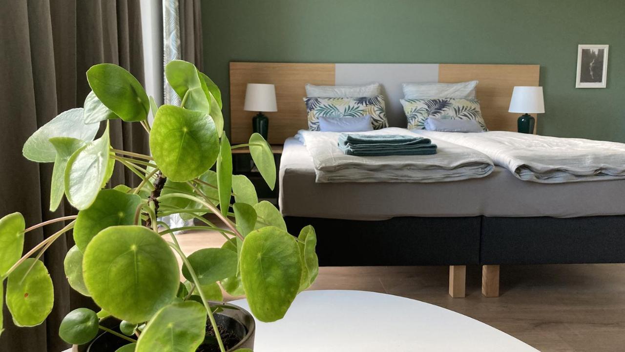 Nowa Kamienica 11 Villa Stara Kamienica Eksteriør billede